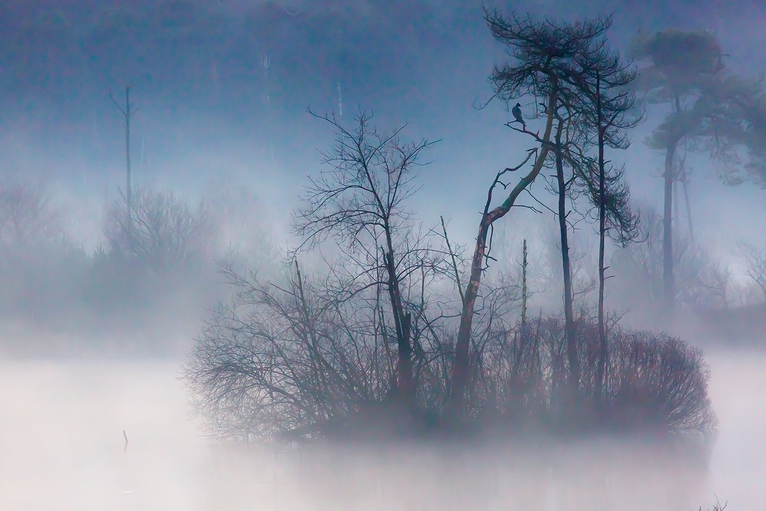 00035_III_OISTERWIJK_1_24FEBR_2016_5627-40