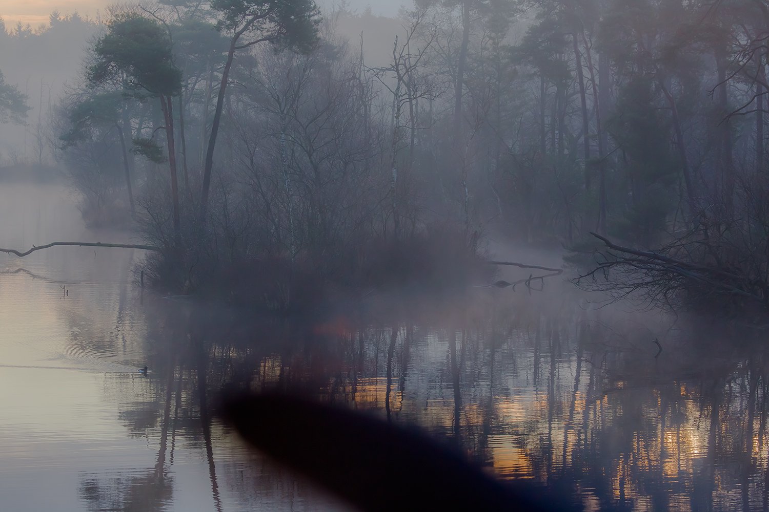 00045_III_OISTERWIJK_1_24FEBR_2016_5688RCCz-40