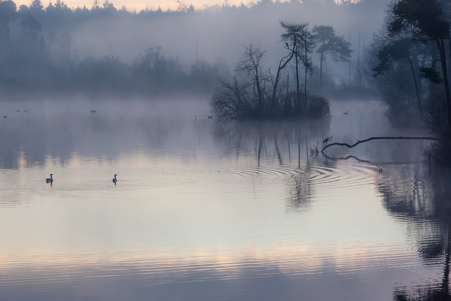 00053_III_OISTERWIJK_1_24FEBR_2016_5713RCCz-40