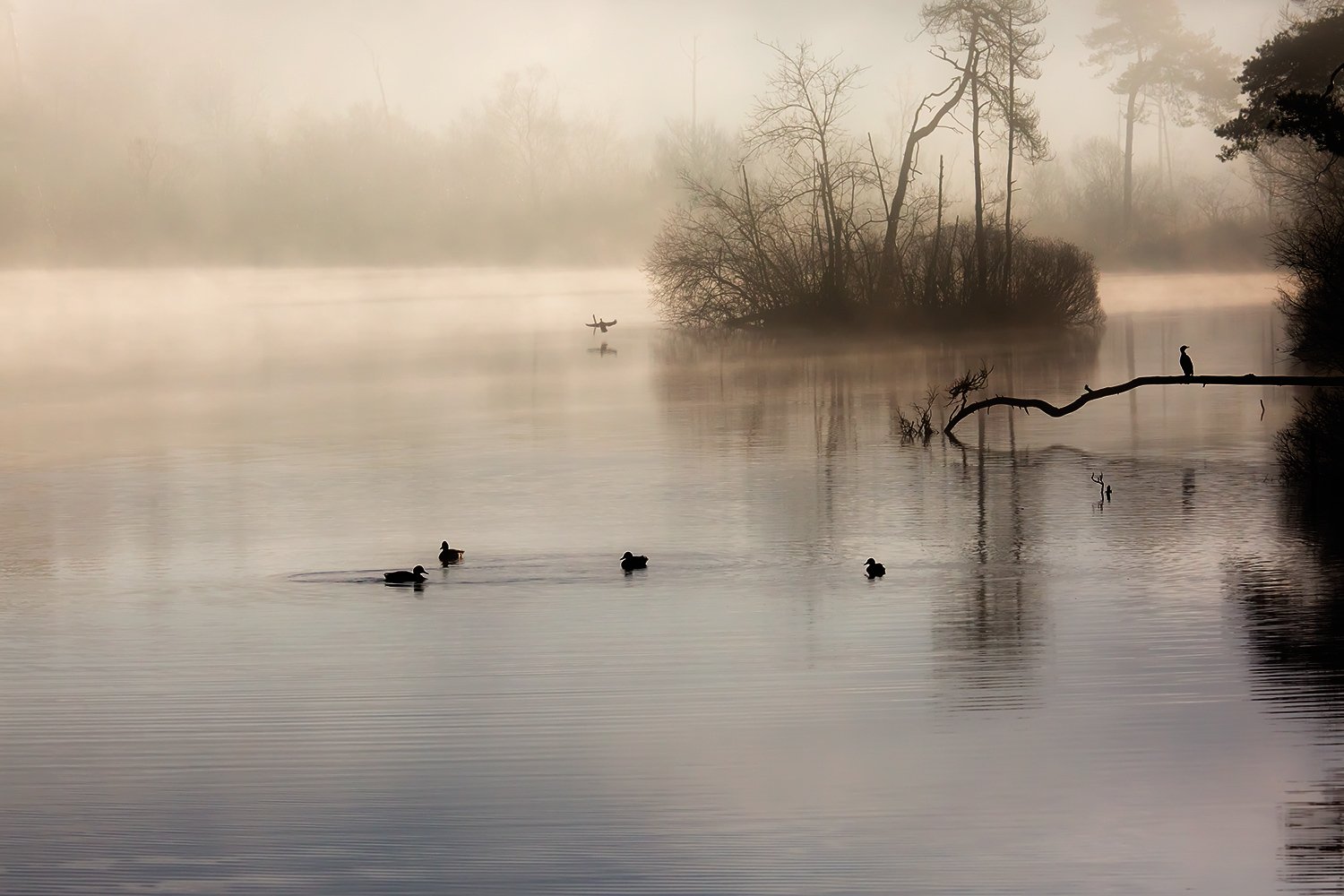 00067_III_OISTERWIJK_1_24FEBR_2016_5869RCCz-402e