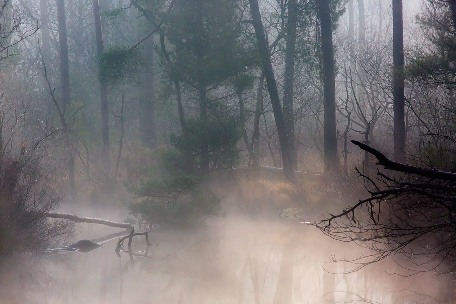 00077_III_OISTERWIJK_1_24FEBR_2016_5902RCCz-40