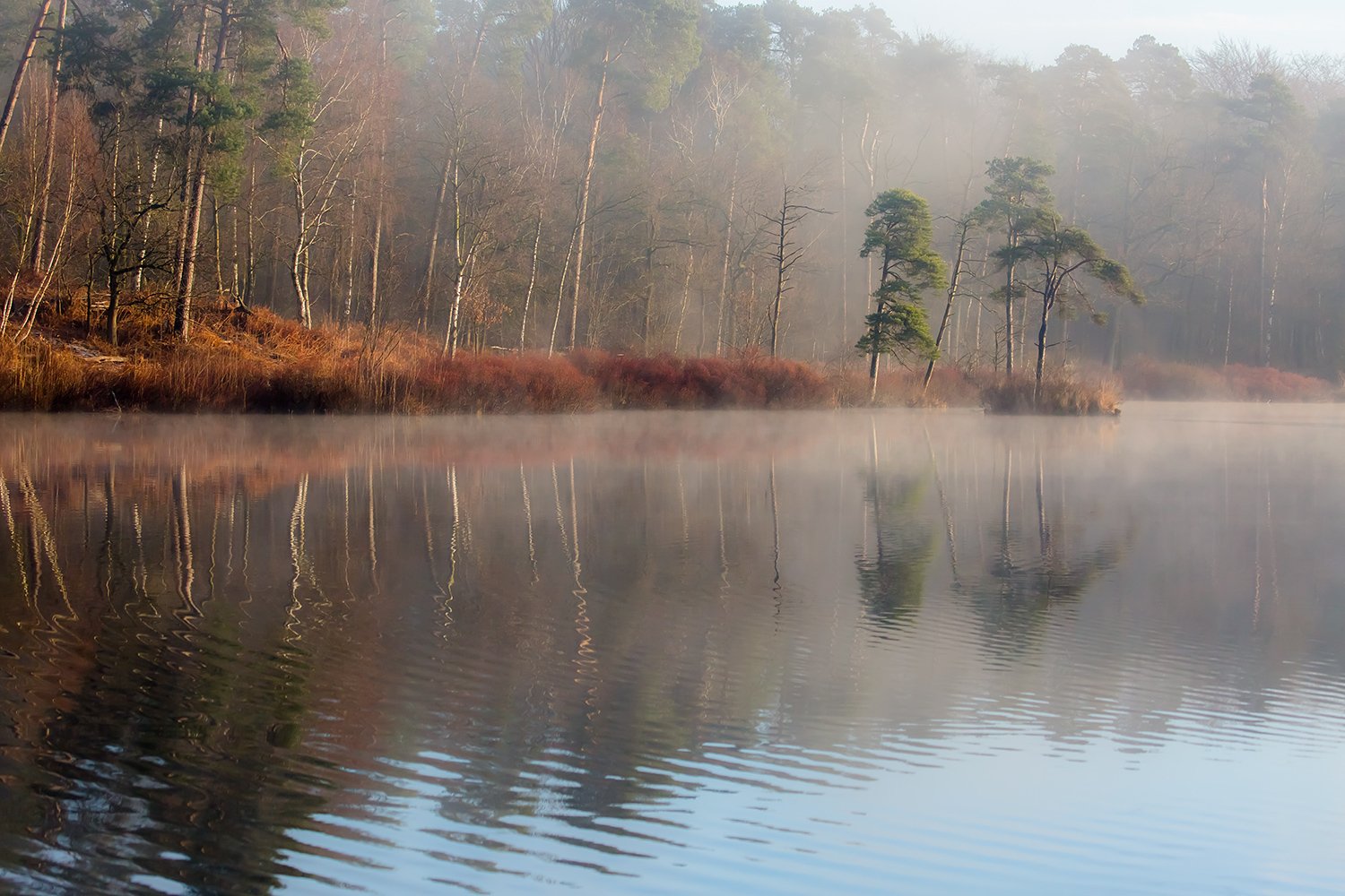 00083_III_OISTERWIJK_1_24FEBR_2016_5838RCCz-40