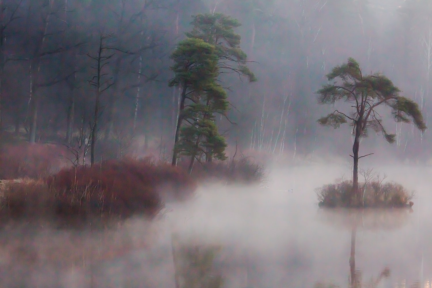 00089_III_OISTERWIJK_1_24FEBR_2016_5711RCCz-40