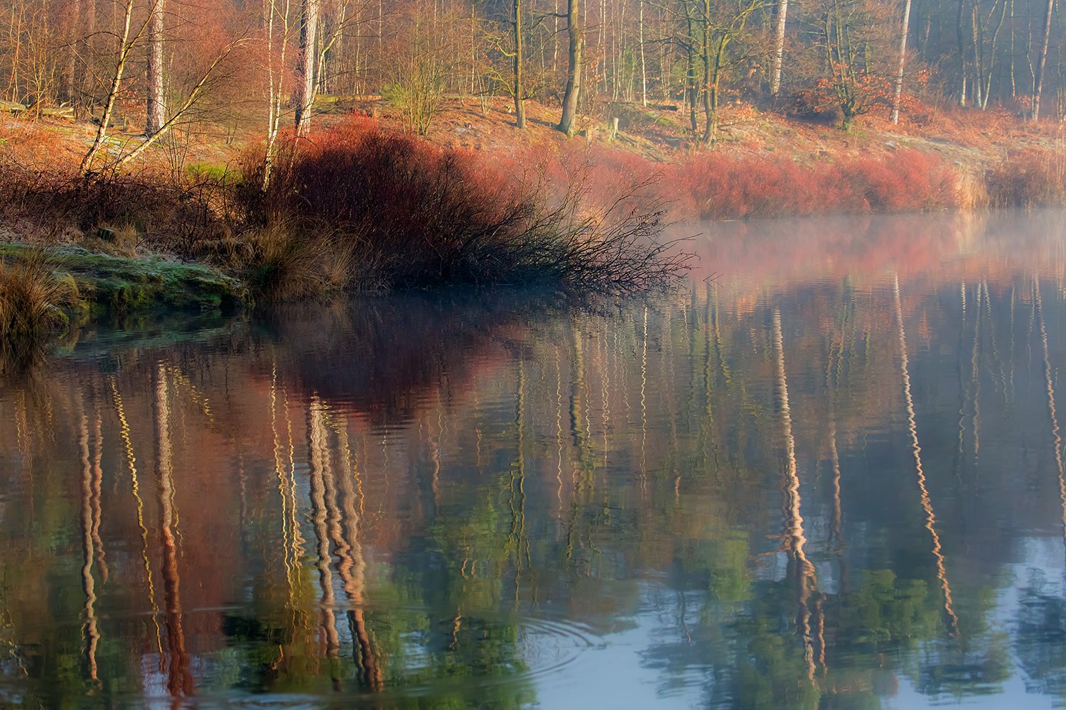 00093_III_OISTERWIJK_1_24FEBR_2016_5847RCCz-40