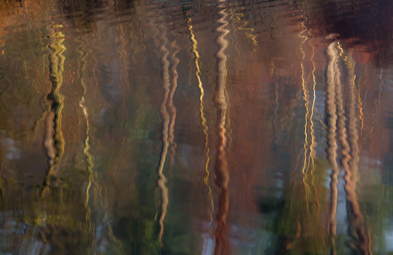 00097_III_OISTERWIJK_1_24FEBR_2016_5840RCCz-40