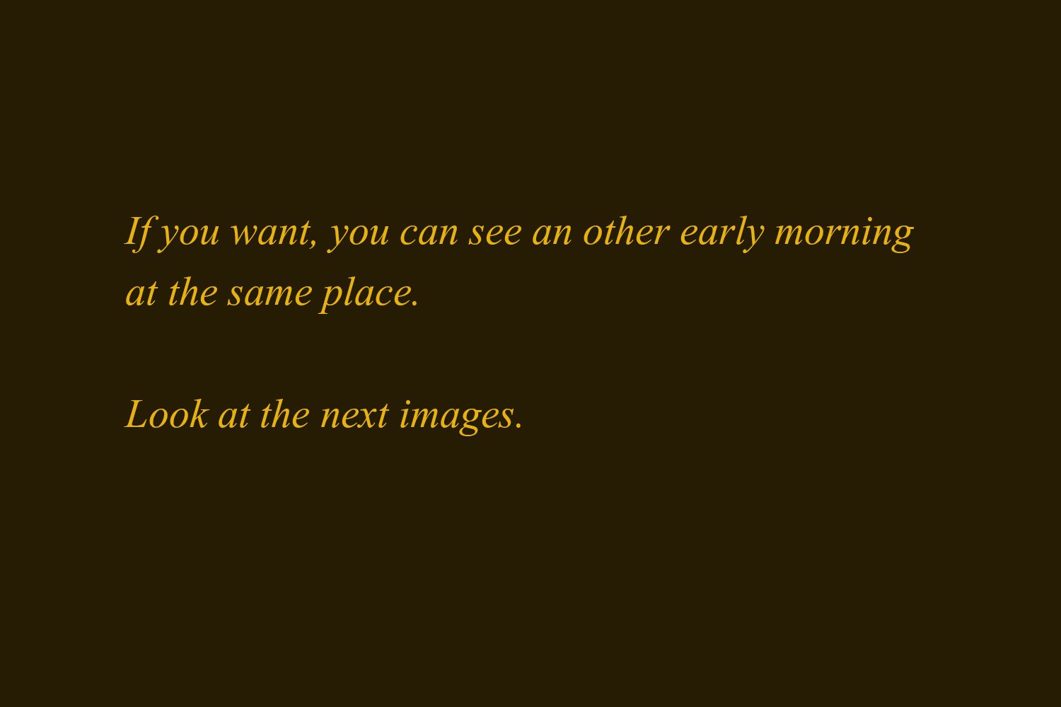 00100_TEKST-WEBSITE-OISTERWIJK