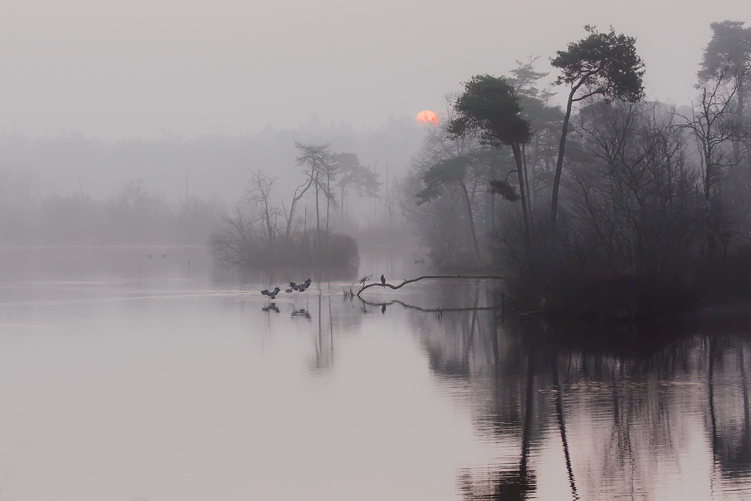 00110_III_OISTERWIJK_1_11MRT_2016_8744RCCz-40