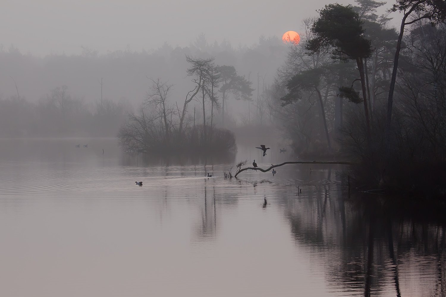 00113_III_OISTERWIJK_1_11MRT_2016_8753RCCz-40