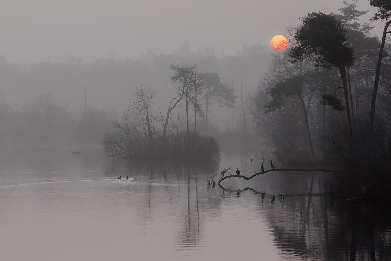 00121_III_OISTERWIJK_1_11MRT_2016_8783RCCz-40