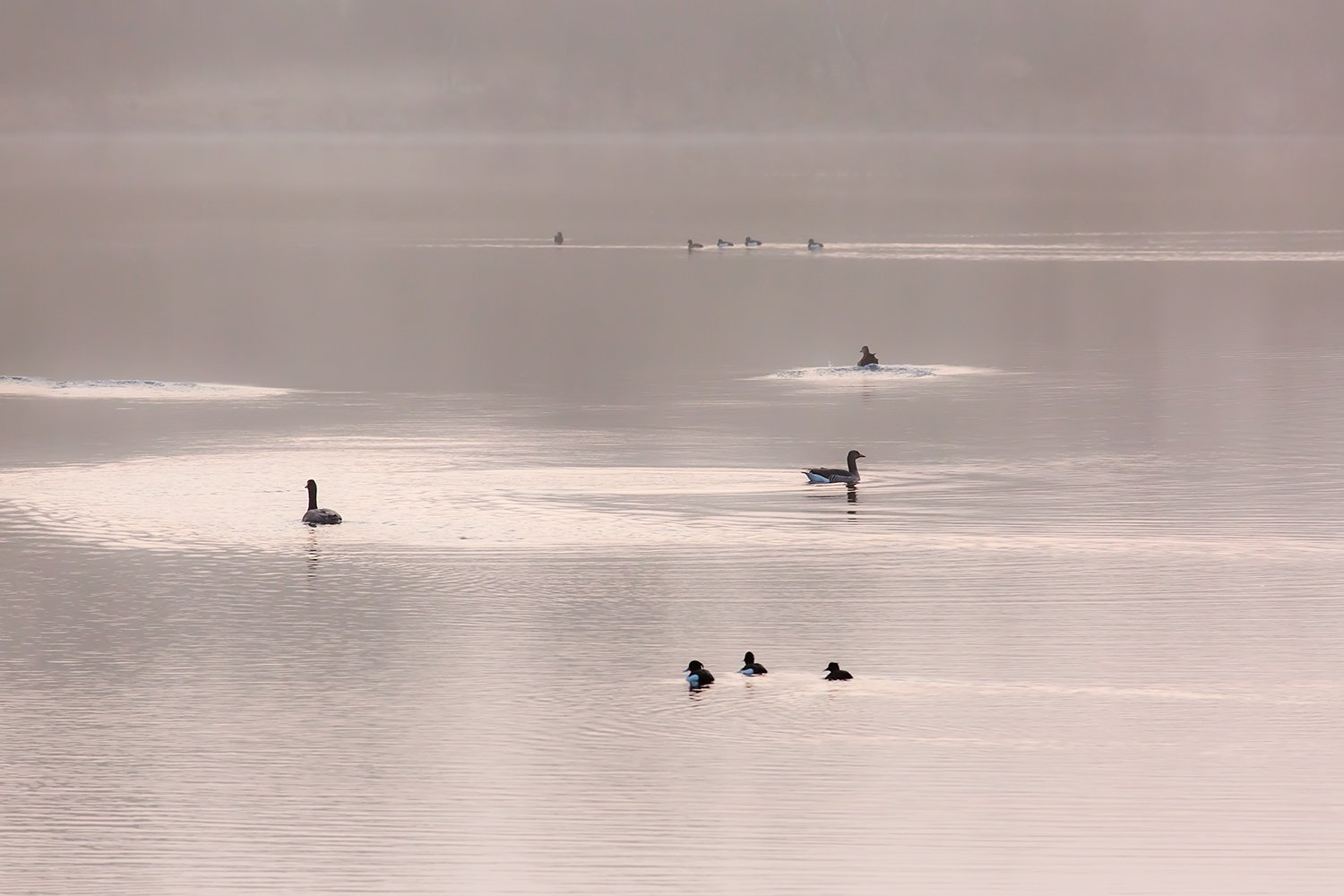 00149_III_OISTERWIJK_1_11MRT_2016_8909RCCz-40