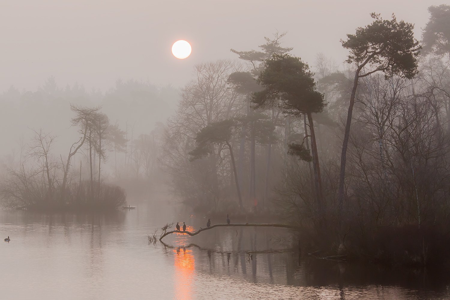 00163_III_OISTERWIJK_1_11MRT_2016_8957RCCz-40