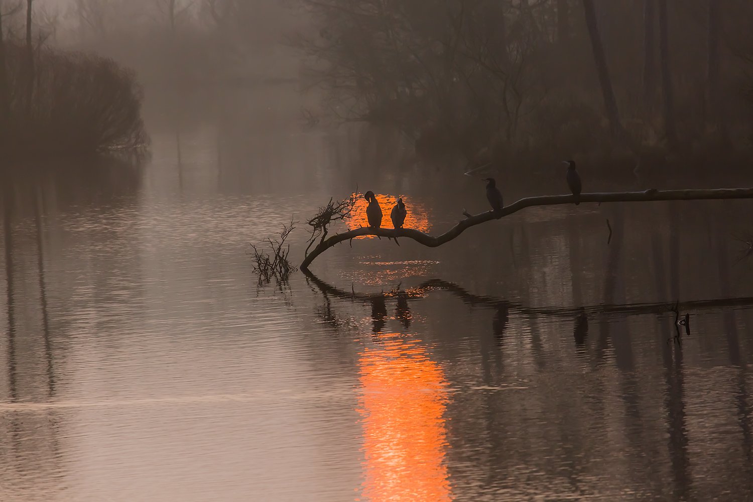 00171_III_OISTERWIJK_1_11MRT_2016_8991RCCz-402eR