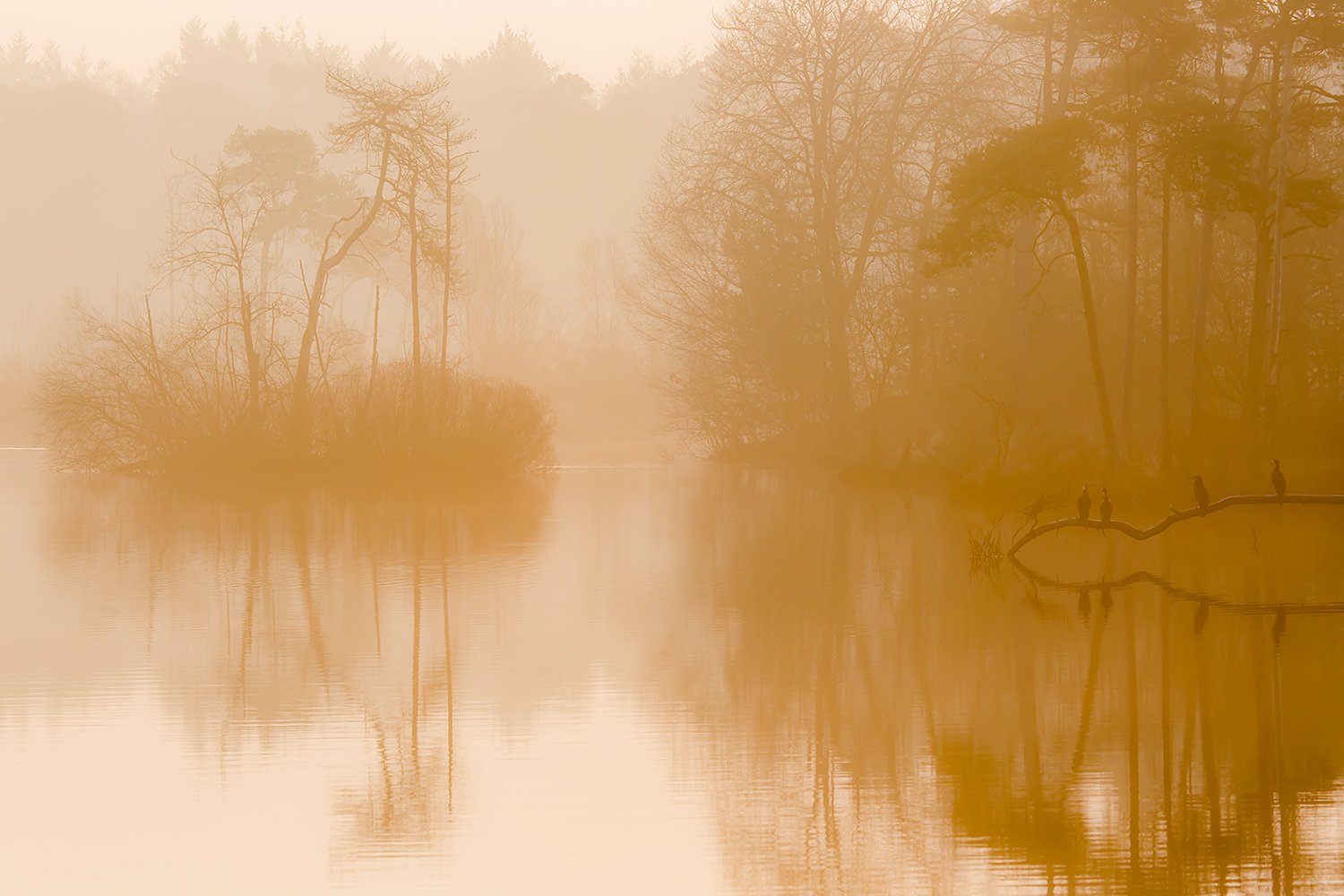 00181_III_OISTERWIJK_2_11MRT_2016_9124CCz-40