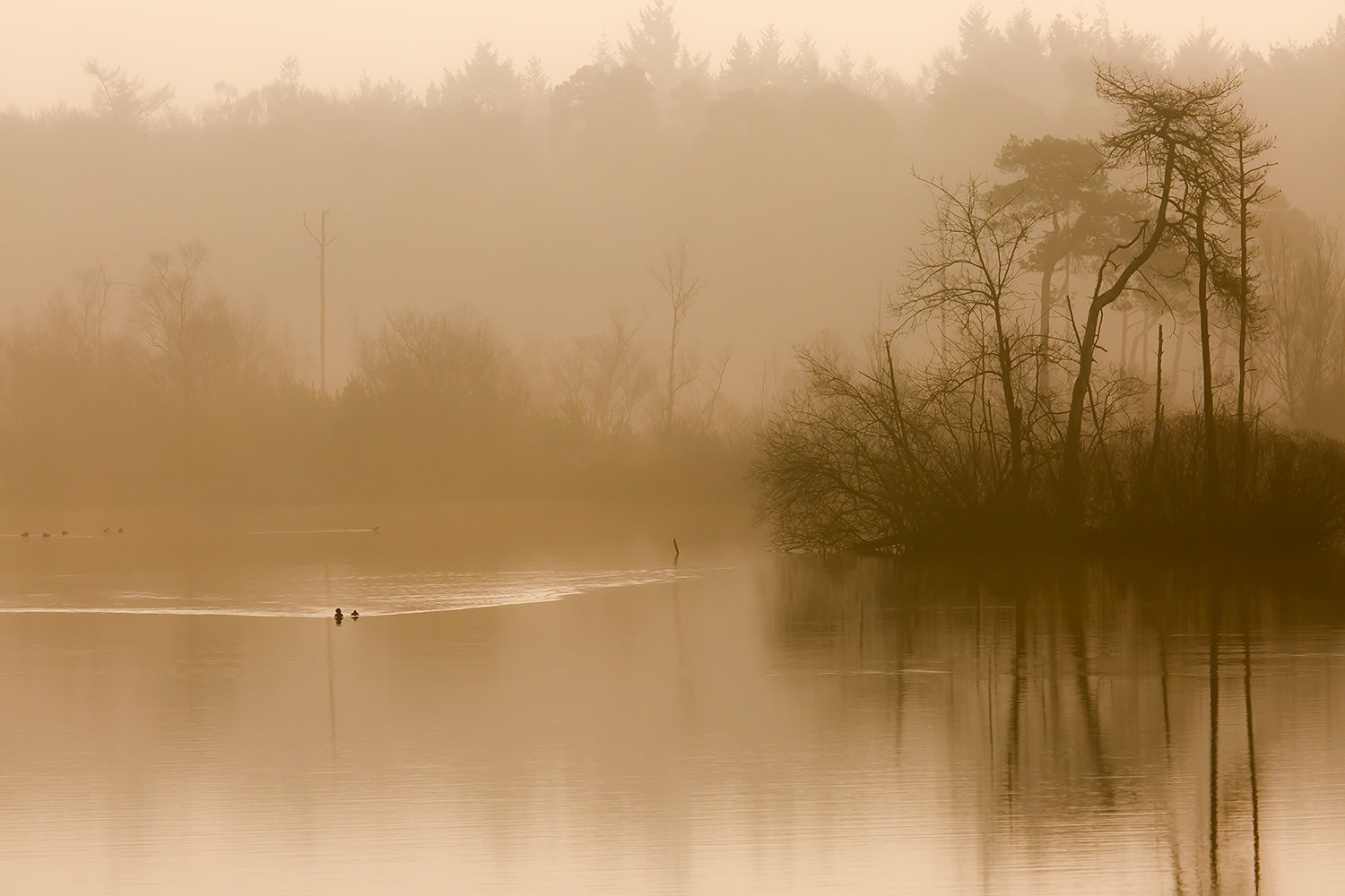 00191_III_OISTERWIJK_2_11MRT_2016_9151CCz-40