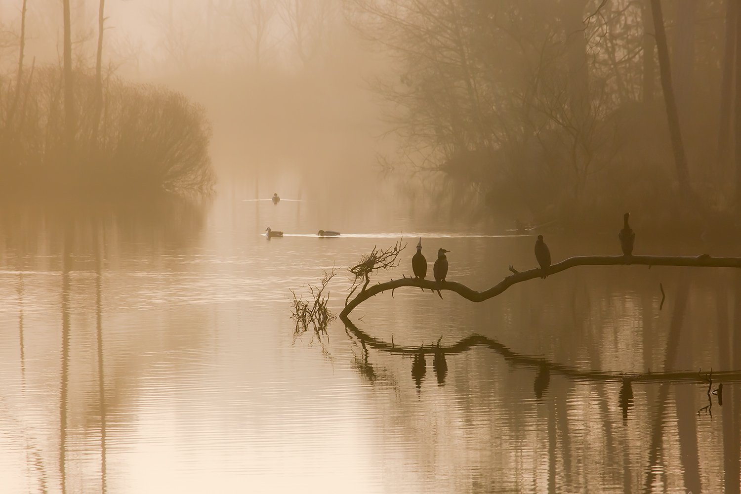 00201_III_OISTERWIJK_2_11MRT_2016_9164CCz-40