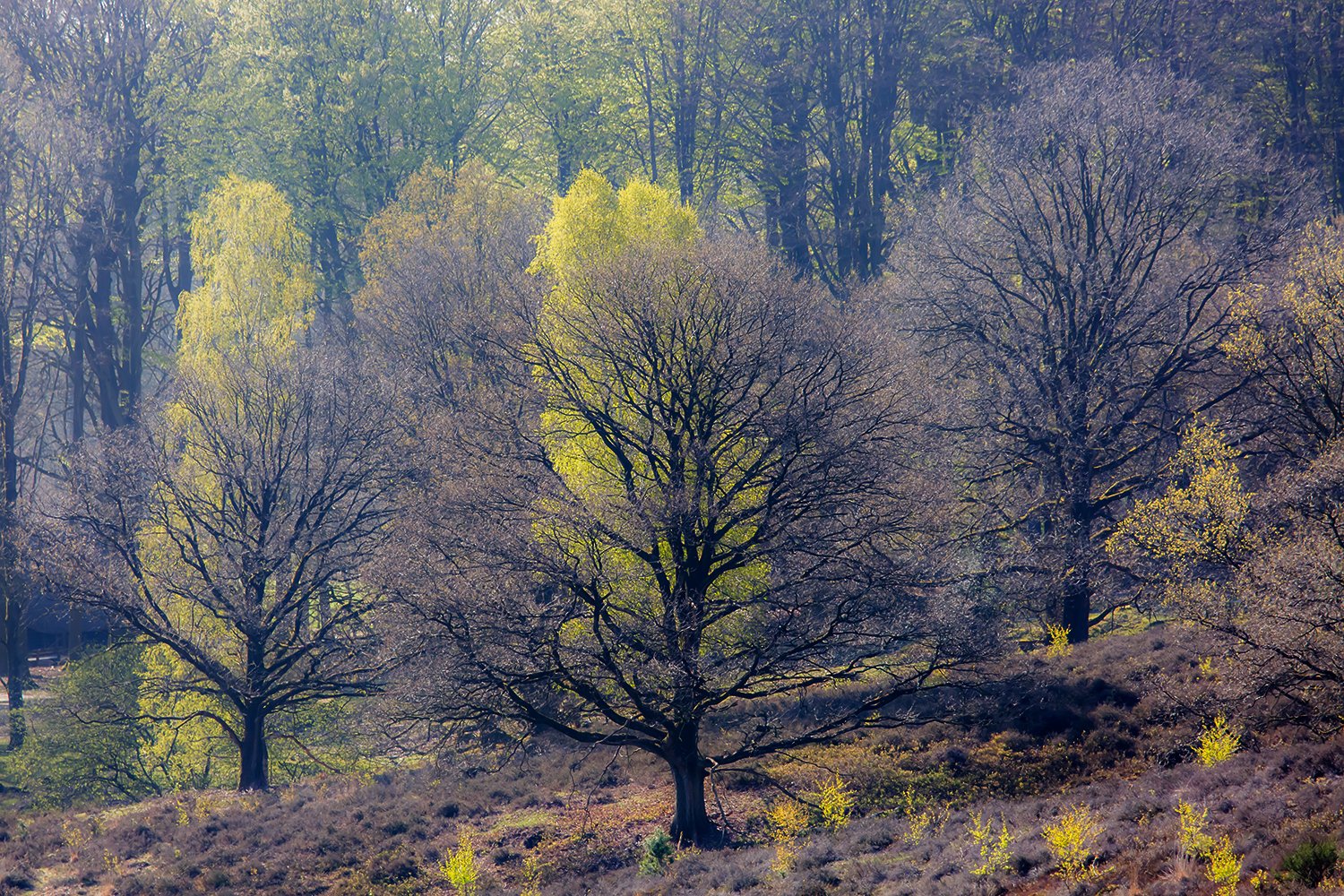 00021_III_POSBANK_1_21APR_2016_5477RCCz-40_15