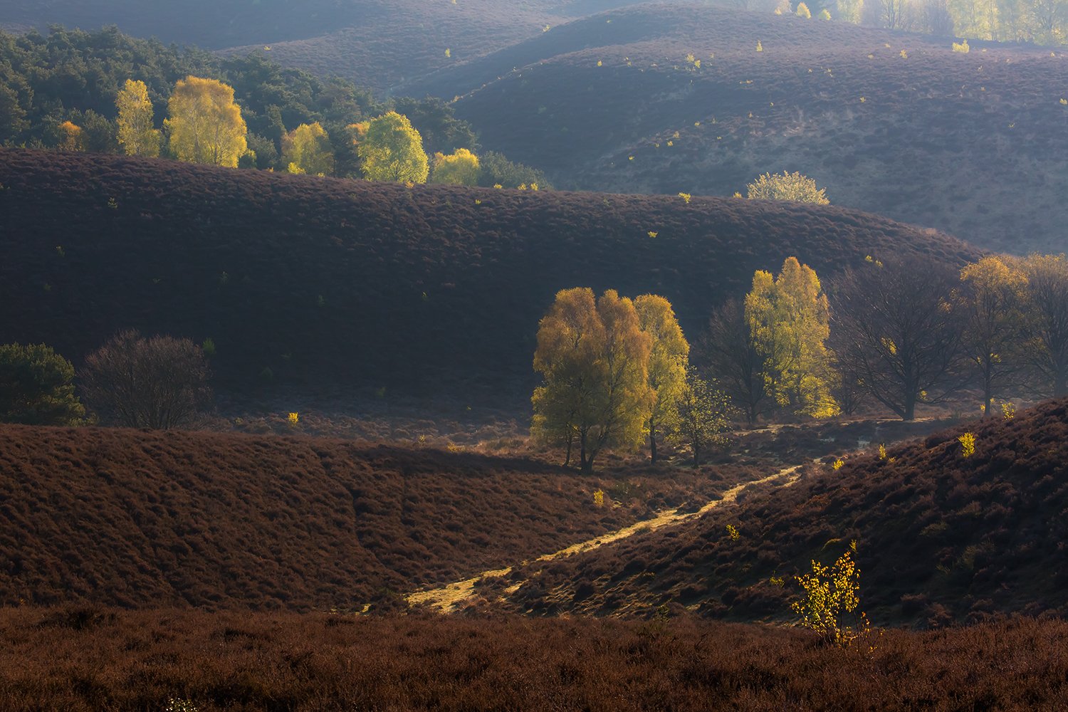 00037_III_POSBANK_1_02MEI_2016_6978RCCz-40_15