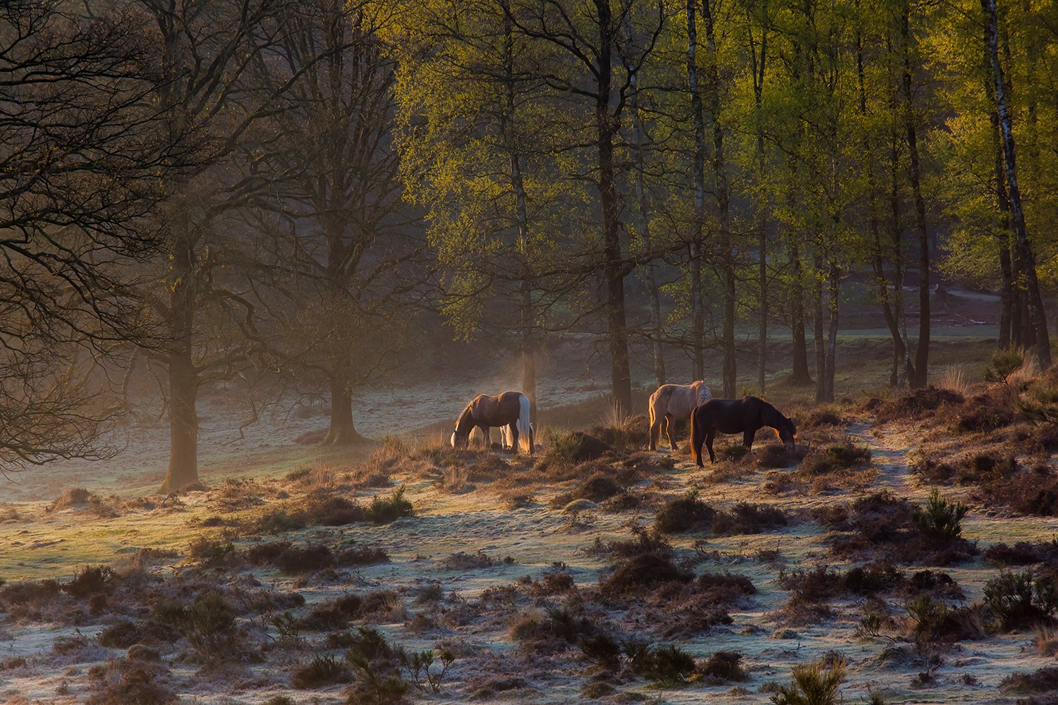 00051_III_POSBANK_1_02MEI_2016_6835RCCz-40_15