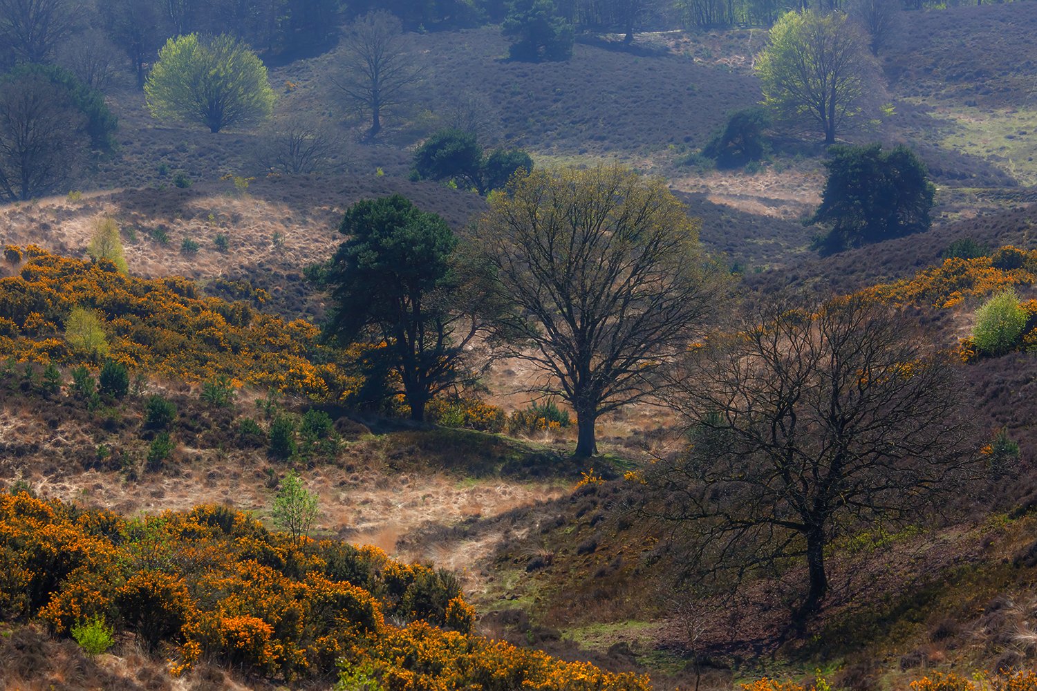 00071_III_POSBANK_1_21APR_2016_5736RCCz-40_15