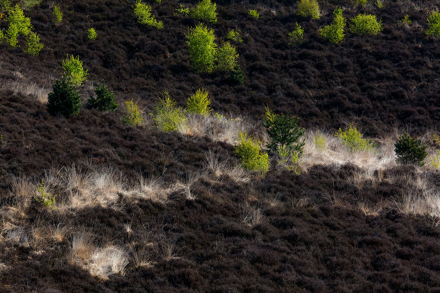 00087_III_POSBANK_2_02MEI_2016_7238RCCz-40_15