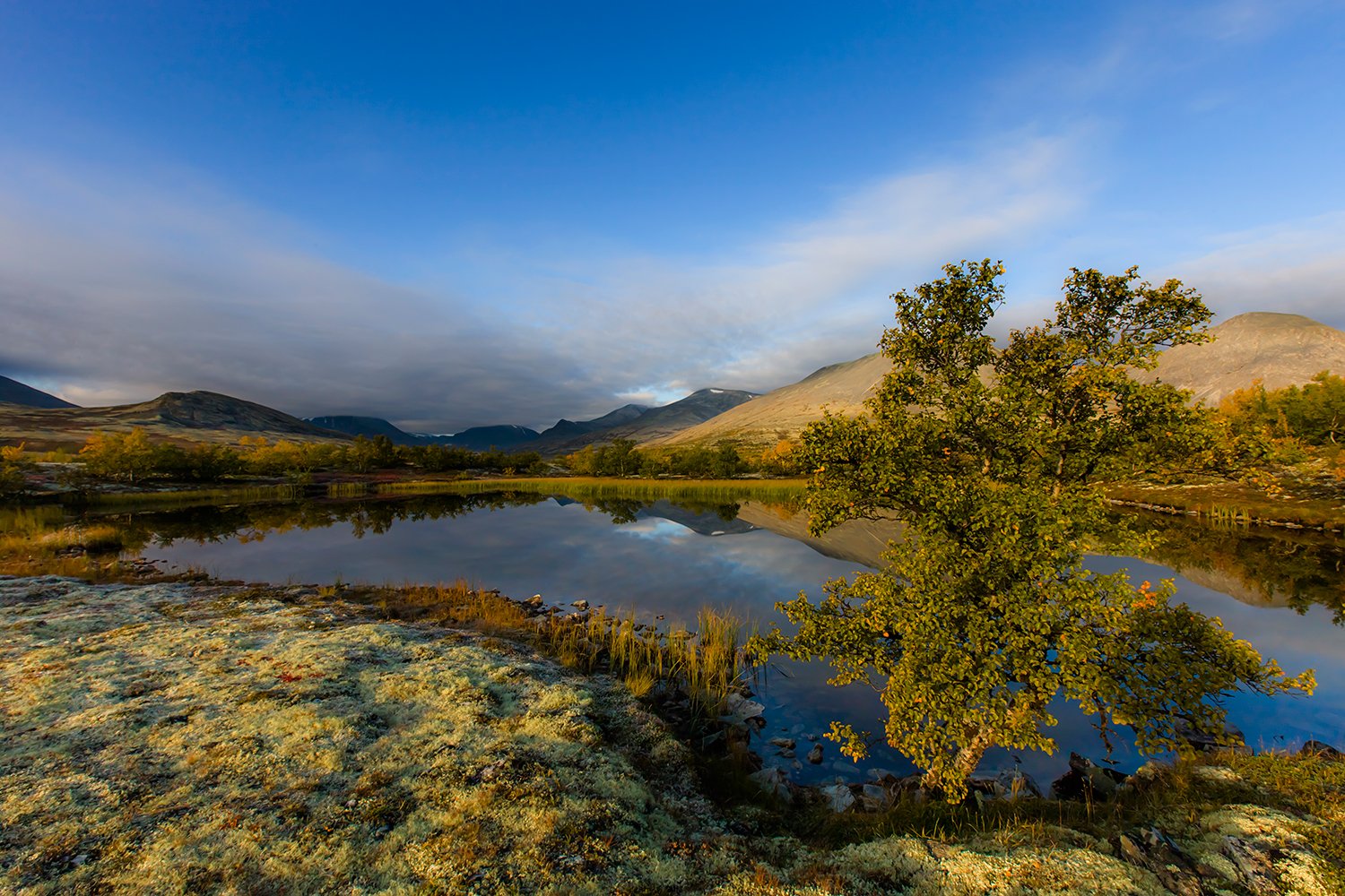 00031_M4_N08_167_168_169_DORESETER_5780RCCz-40_15