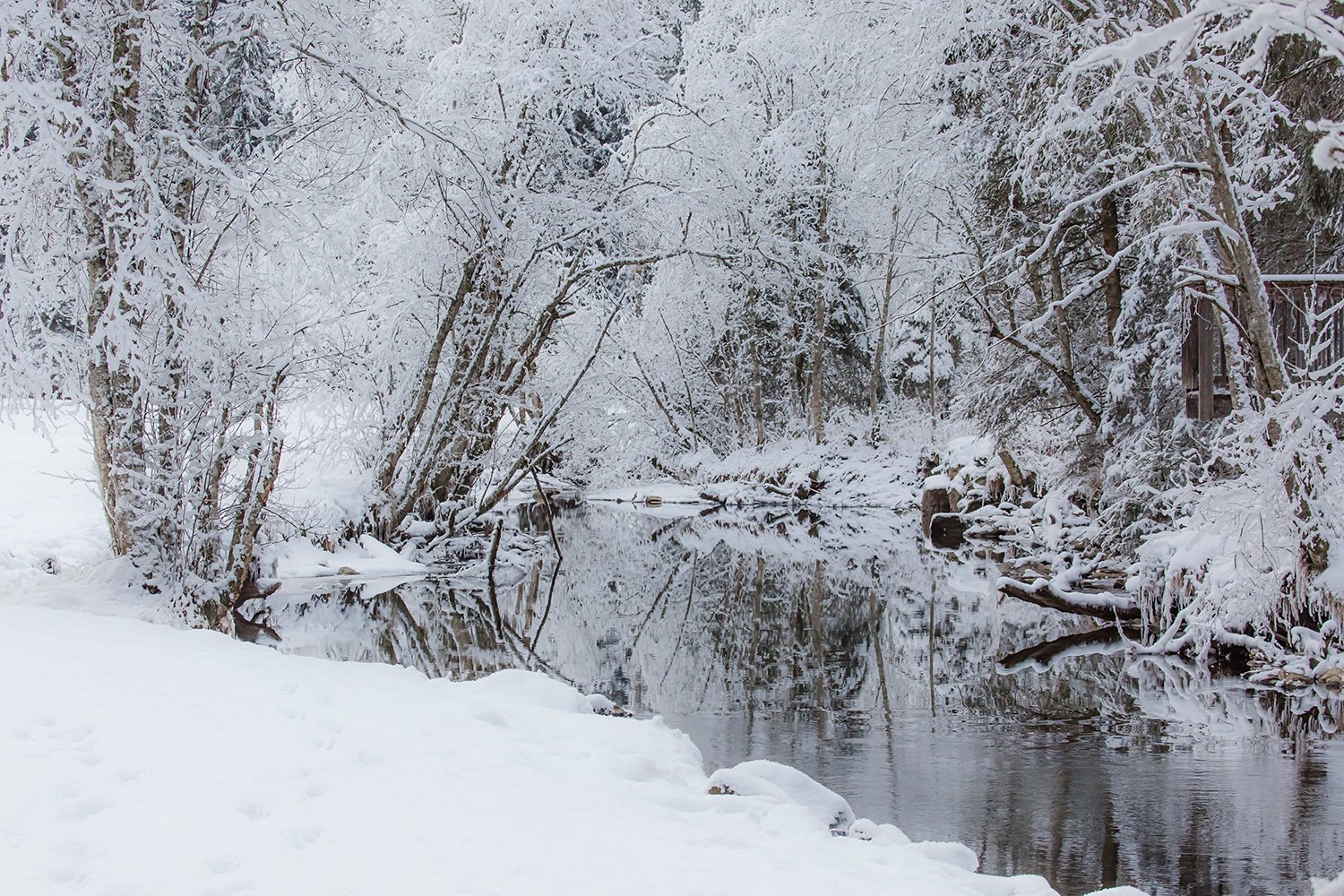 00041_III_UNTERTAL_1_23DEC_2016_7870R4CCz-40_15