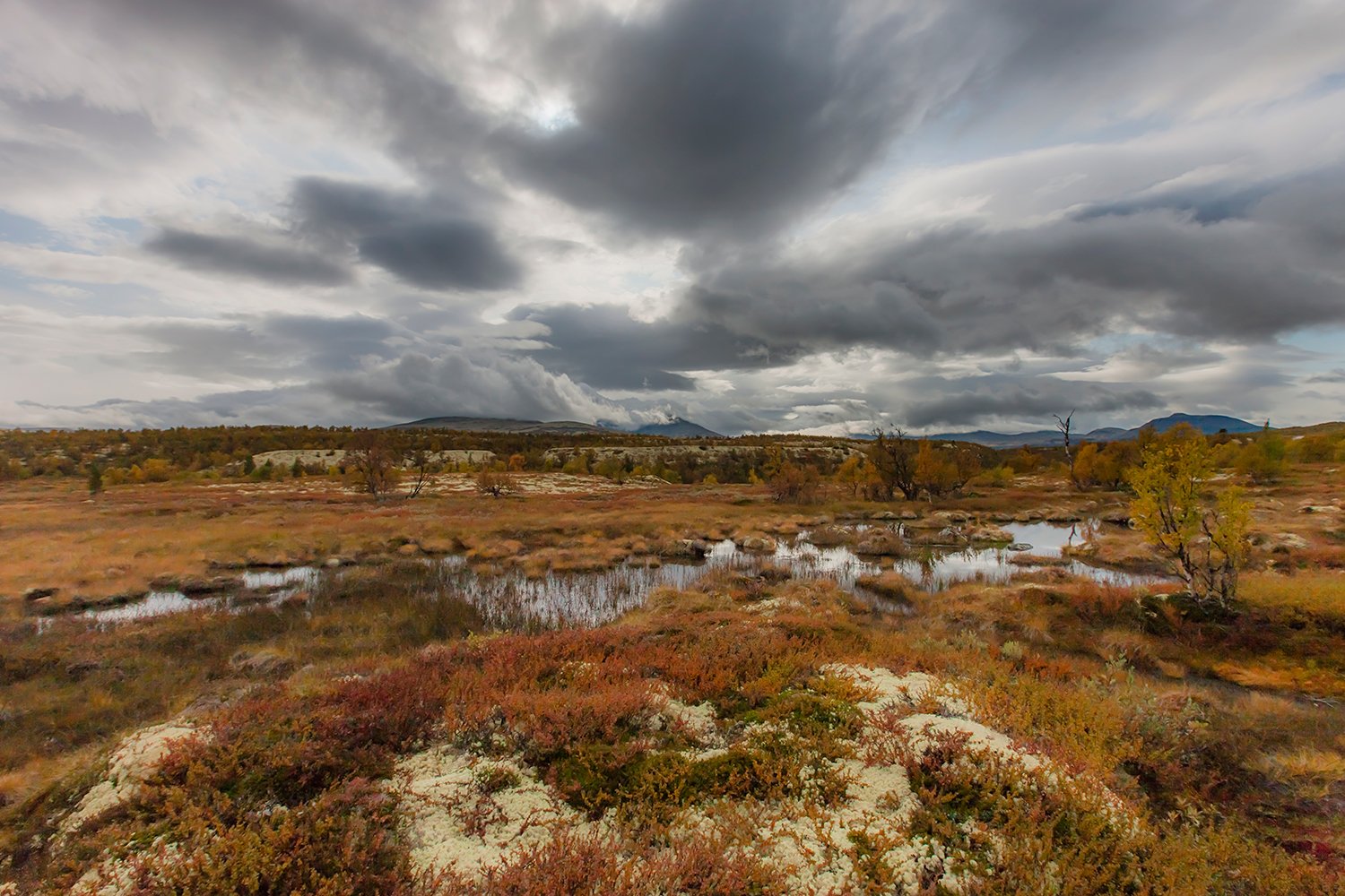 00101_M4_NO8_PHOTO_172_173_FLATS_ALV_6133RCCz-40_15