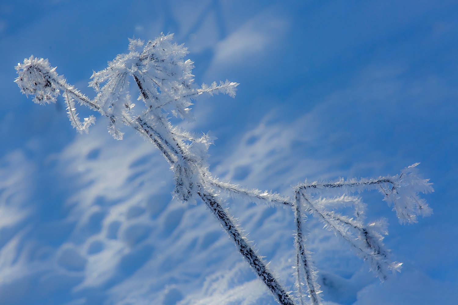 00129_III_UNTERTAL_2_30DEC_2016_9948RCCz-40_15