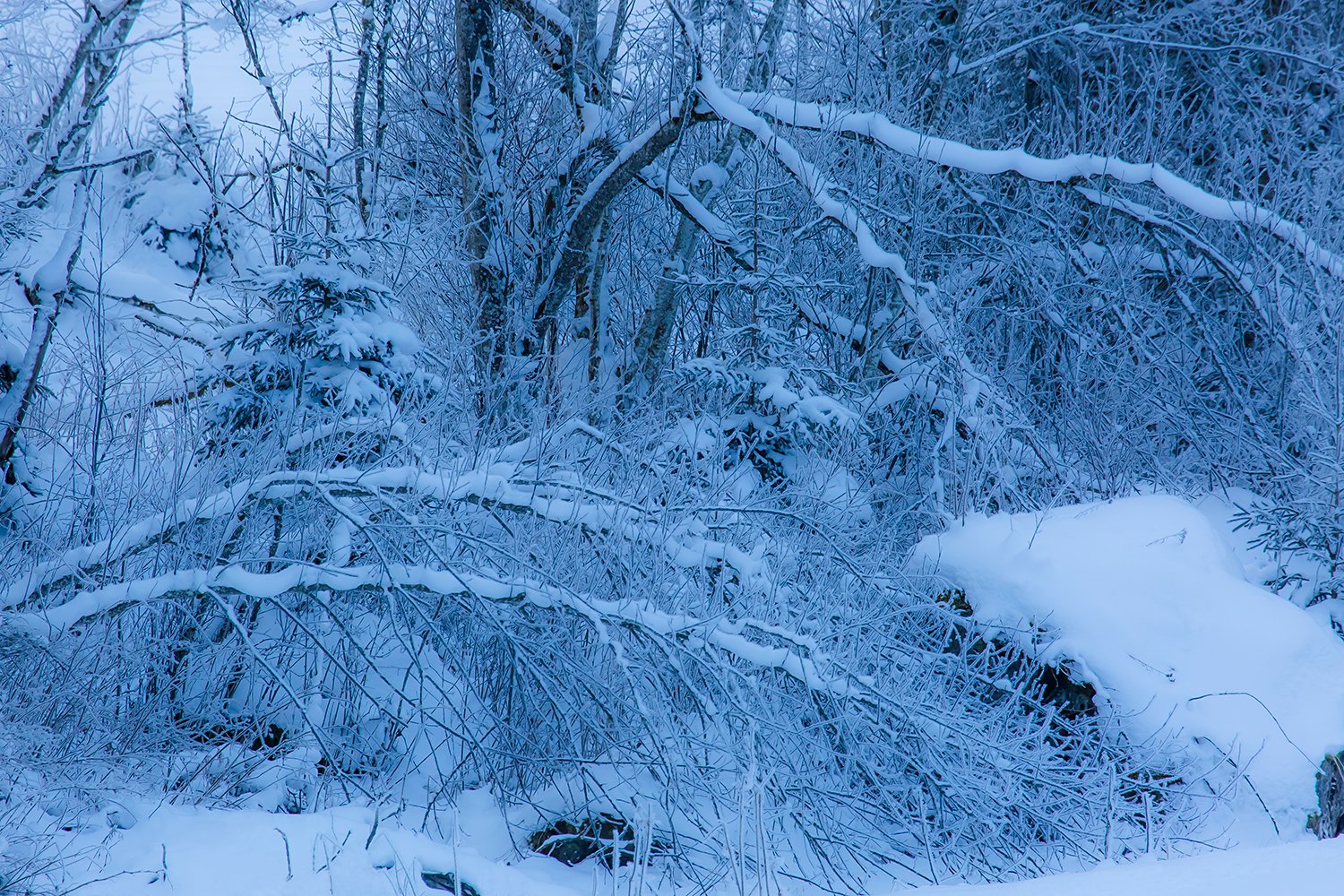 00131_III_UNTERTAL_1_30DEC_2016_0477RCCz-40_15