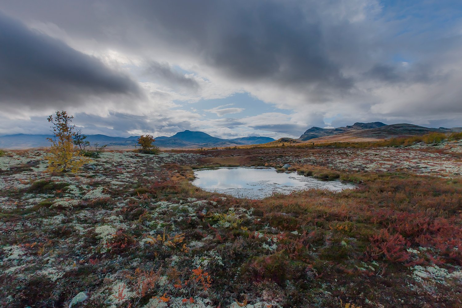 00151_M4_NO8_PHOTO_172_173_FLATS_ALV_6237RCCz-40_15