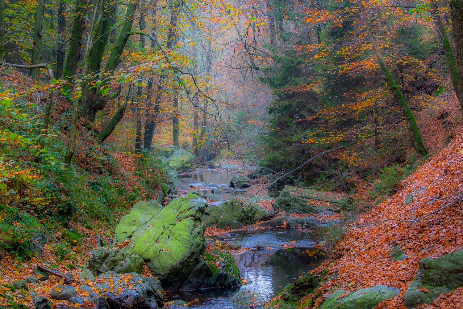 00001_III_HOECHNE_RIK_ELS_18OKT_2018_1886RCCz-60_15