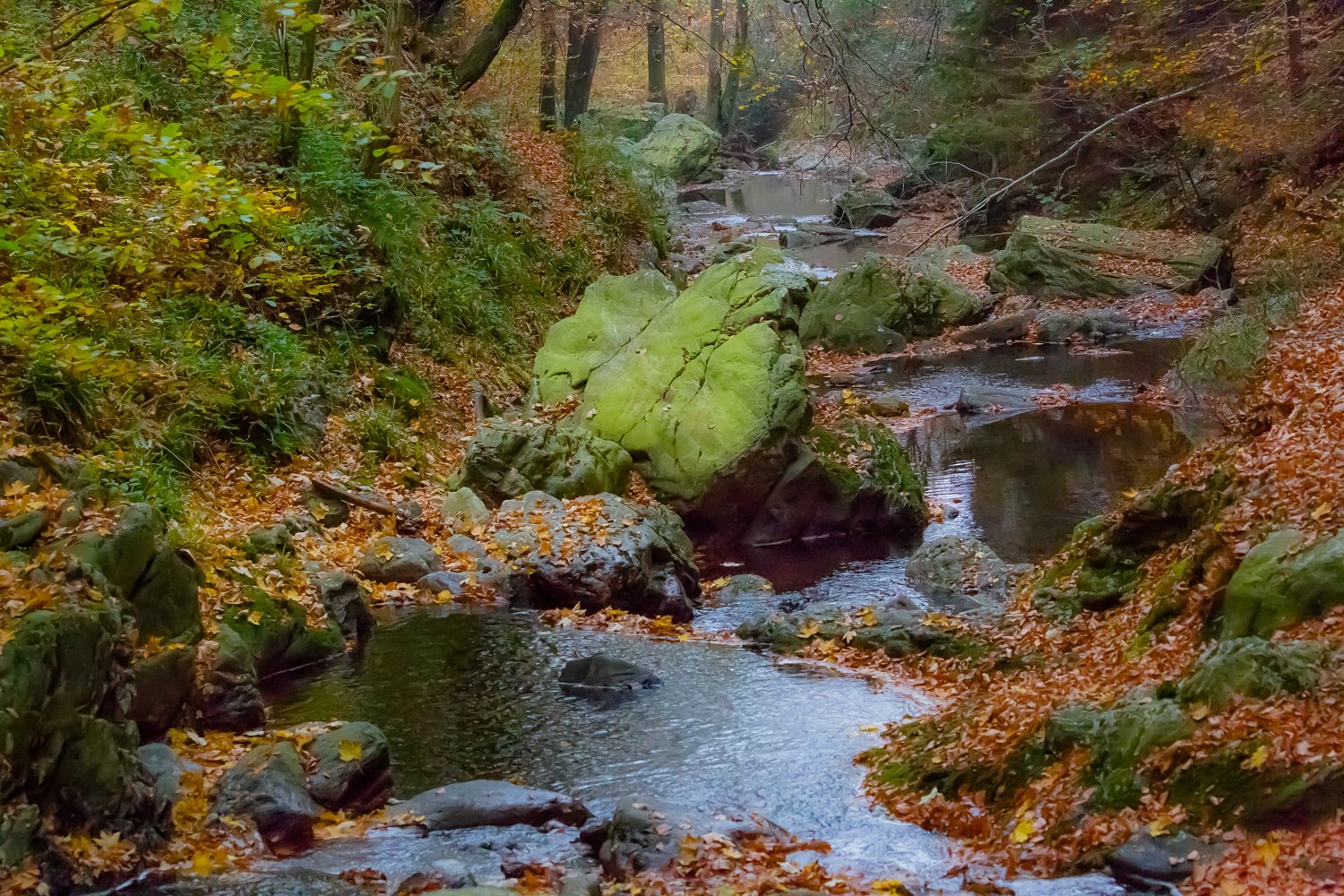 00003_III_HOECHNE_RIK_ELS_18OKT_2018_1879RCCz-40_15