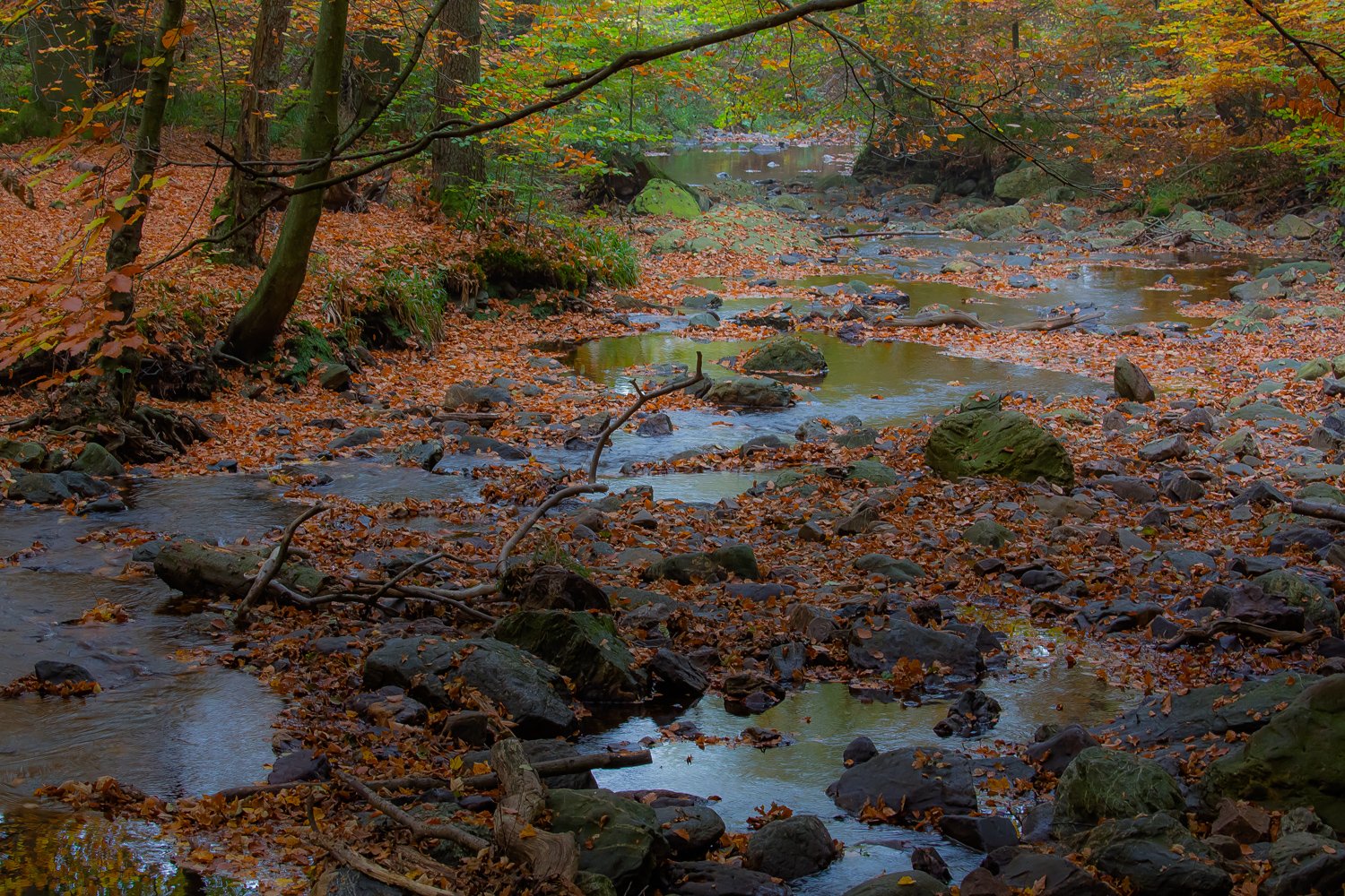 00041_III_HOECHNE_RIK_ELS_18OKT_2018_1377RCCz-40_15