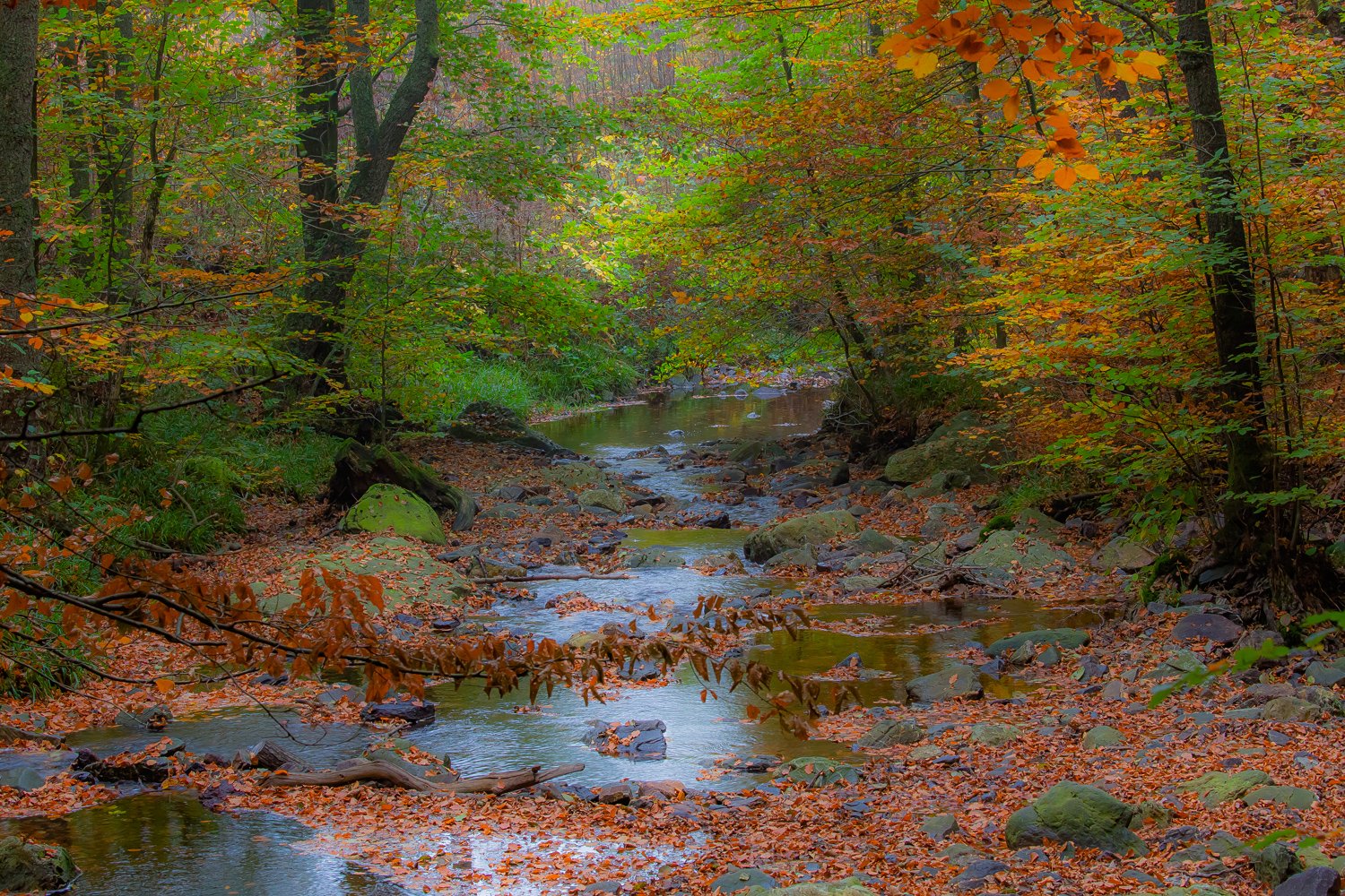 00055_III_HOECHNE_RIK_ELS_18OKT_2018_1366RCCz-60_15