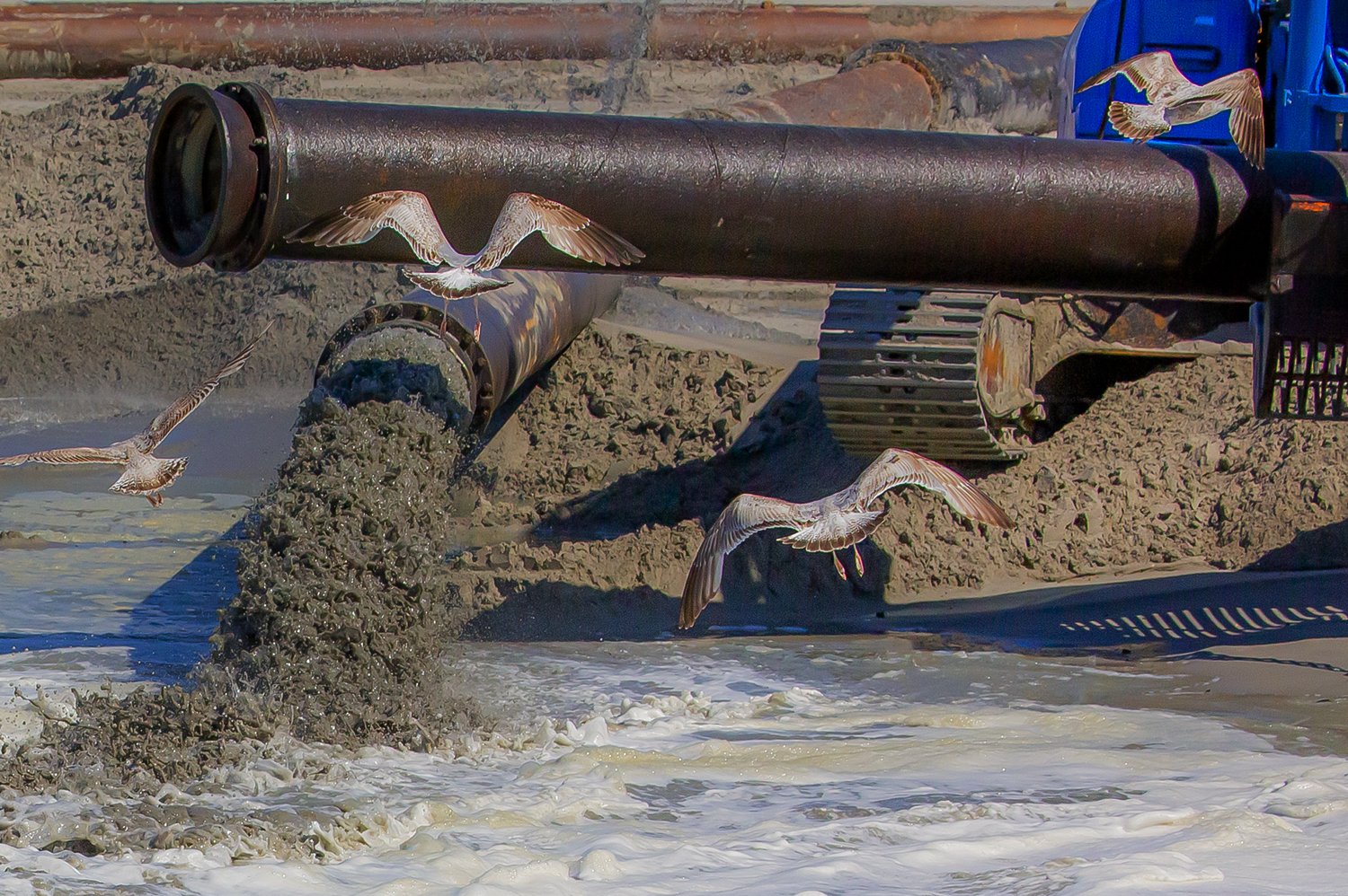 00351_III-westkapp_veere_16mei_2019_2795RCCz-40_15